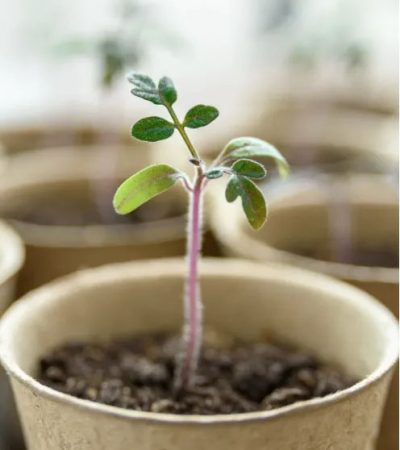 截圖-2025-06-03-晚上10.28.49