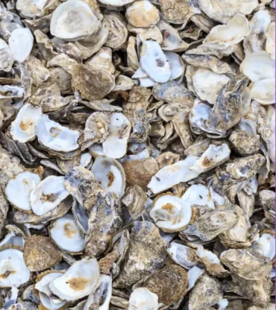 截圖 2025-06-03 晚上10.29.03 截圖 2025-06-03 晚上10.29.03